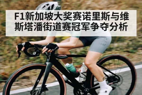 F1新加坡大奖赛诺里斯与维斯塔潘街道赛冠军争夺分析